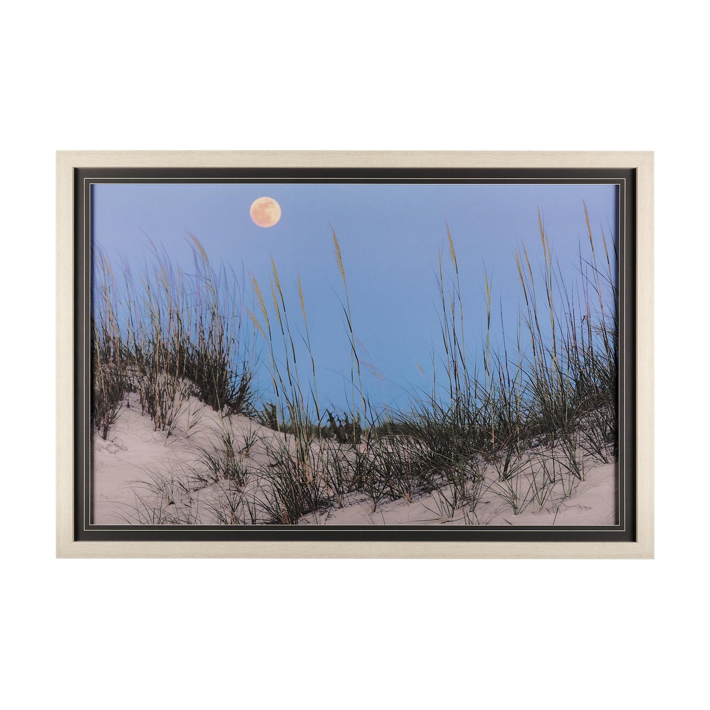Moon over dunes with tall grass against blue sky.