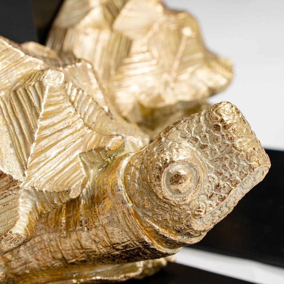 Picture of Gold Tortoise Bookends