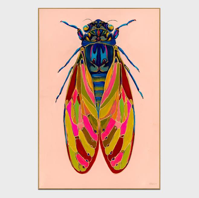 Colorful cicada artwork with vibrant pink, blue, and yellow patterns.