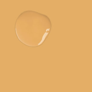 Annie Sloan Chalk Paint Color Sample - Arles (Neutral/Orange