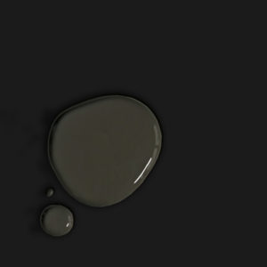 Annie Sloan Chalk Paint Color Sample - Athenian Black