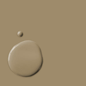 Annie Sloan Chalk Paint Color Sample - Coco