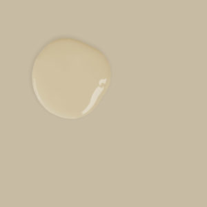 Annie Sloan Chalk Paint Color Sample - Country Grey