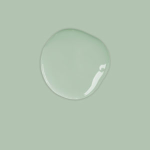 Annie Sloan Chalk Paint Color Sample - Duck Egg Blue