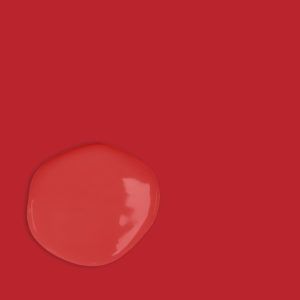 Annie Sloan Chalk Paint Color Sample - Emperor's Silk