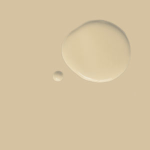 Annie Sloan Chalk Paint Color Sample - Old Ochre