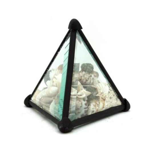Glass pyramid terrarium with seashells inside.