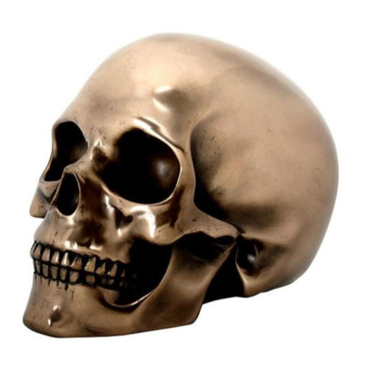 Bronze skull with a shiny, polished finish.