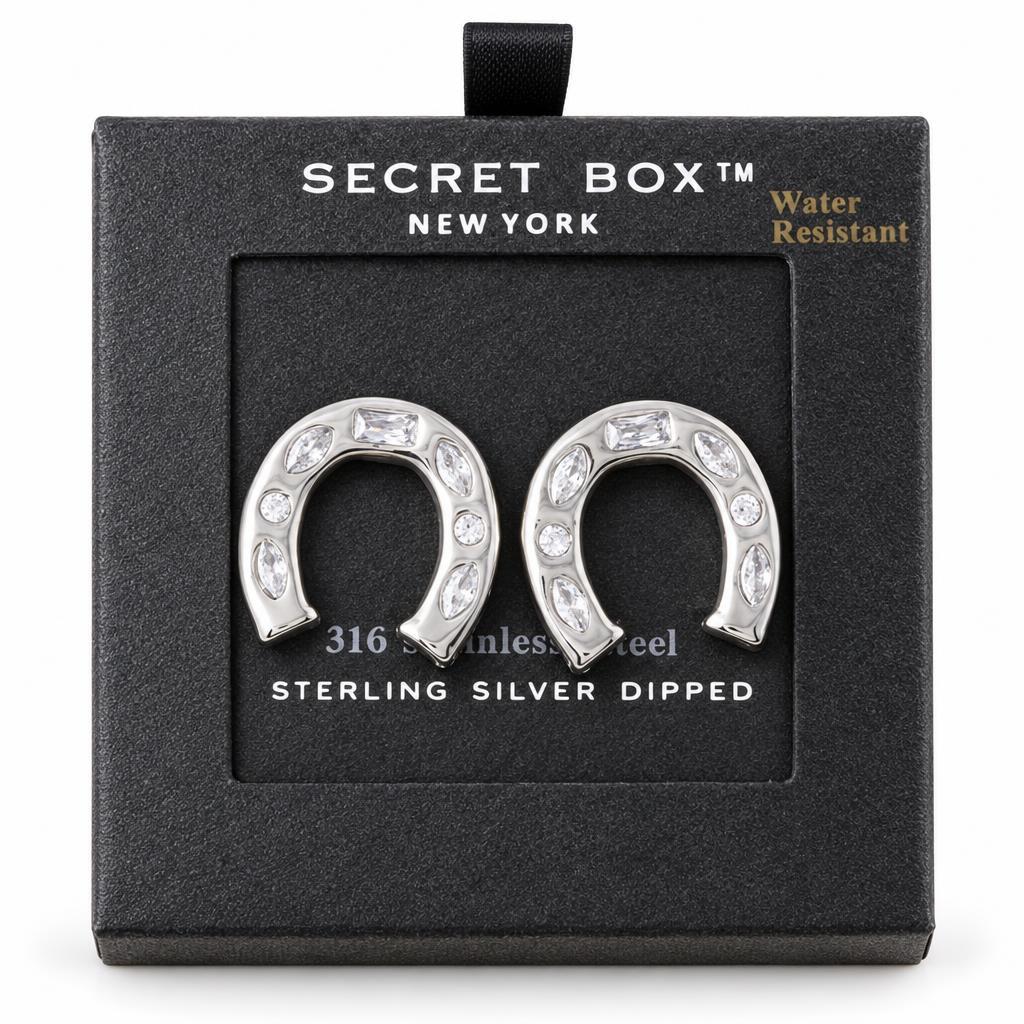 Horsehoe-shaped earrings in a black box with "Secret Box" label.