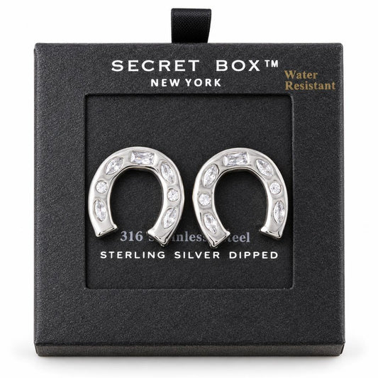 Horsehoe-shaped earrings in a black box with "Secret Box" label.