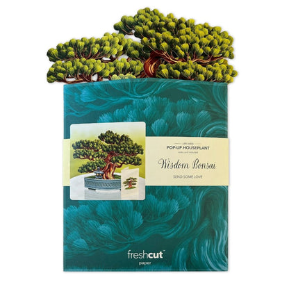 Pop-up bonsai plant packaging with a vibrant tree design.