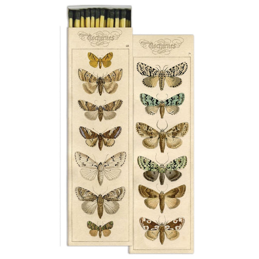 Picture of Moths Matchbox