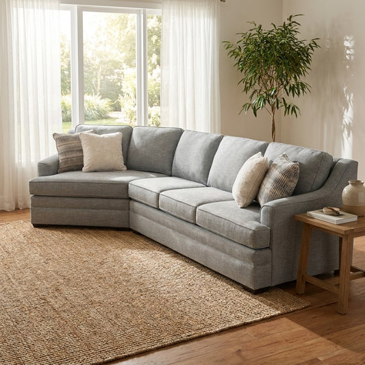 Cozy living room with a gray sofa, rug, and potted plant by a sunny window.