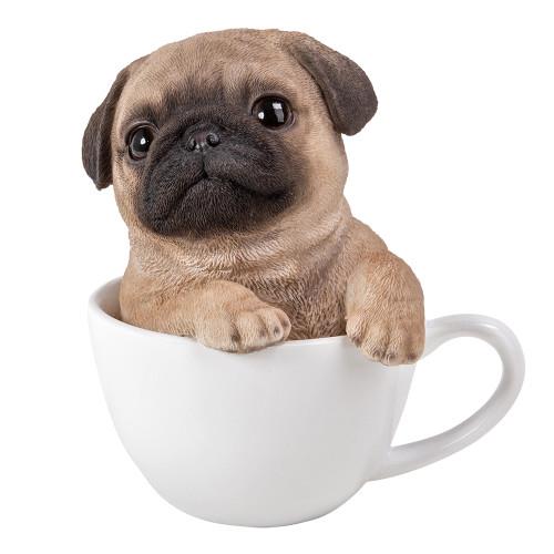 Picture of Pug Teacup Pup