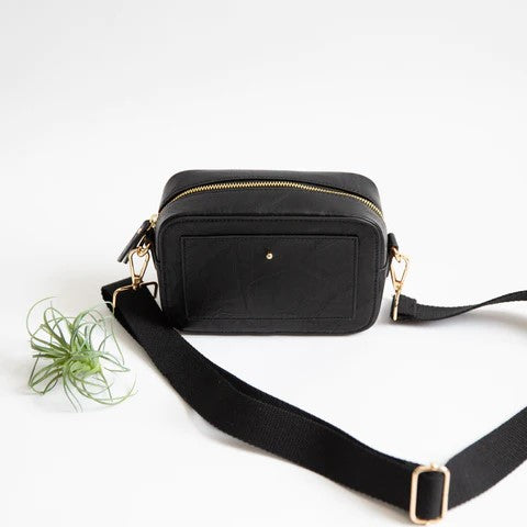 Black crossbody bag with gold zipper and accents near a small plant.