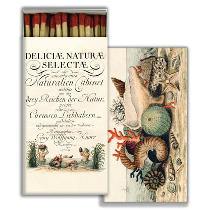 Decorative matchbox with seashell illustration and vintage-style text.