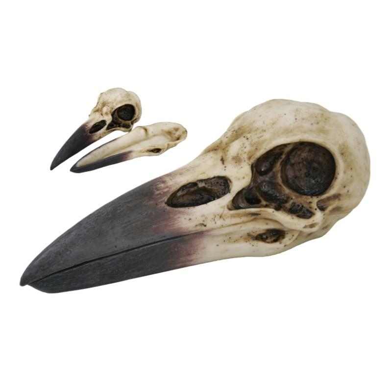 Picture of Raven Skull