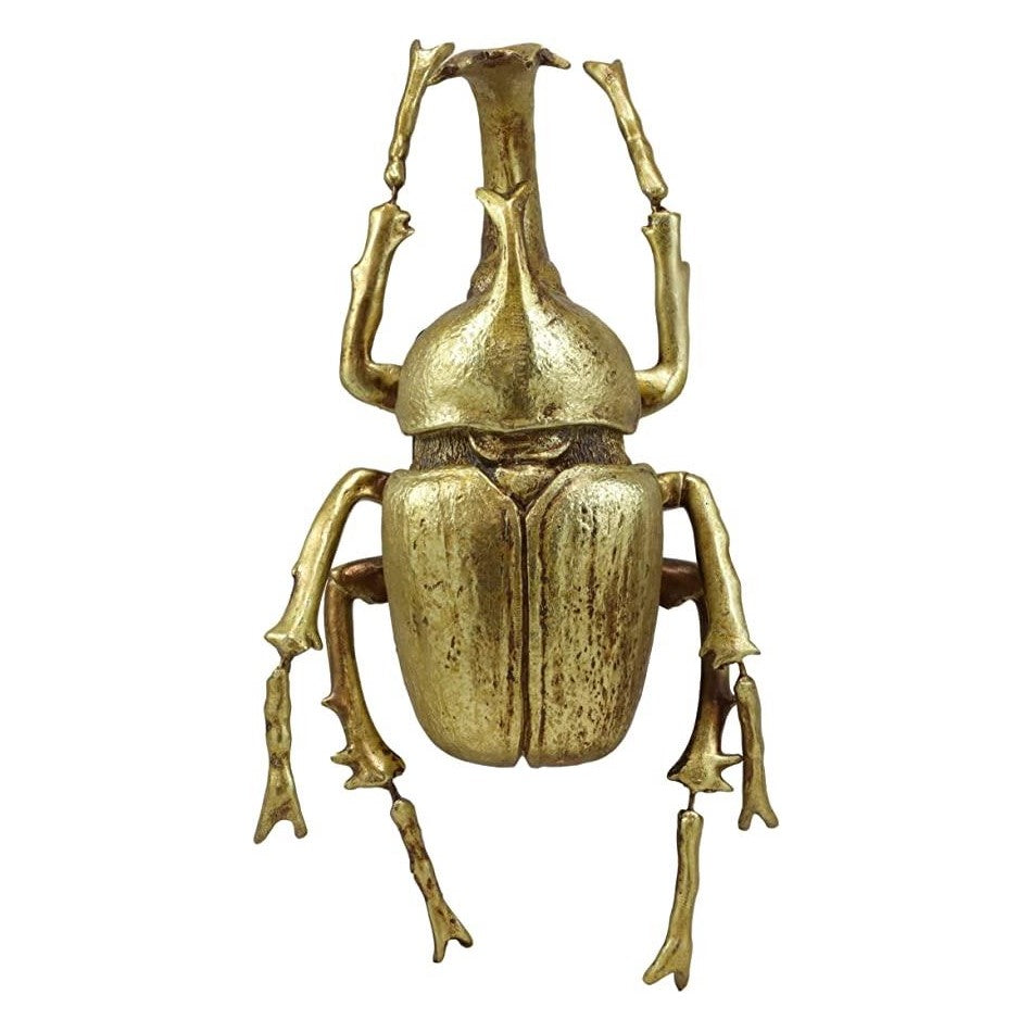 Picture of Elephant Beetle Wall Decor