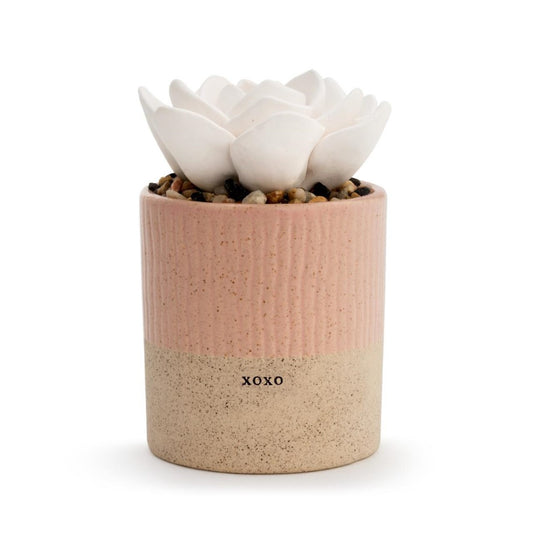 Pink and beige pot with a white decorative flower.
