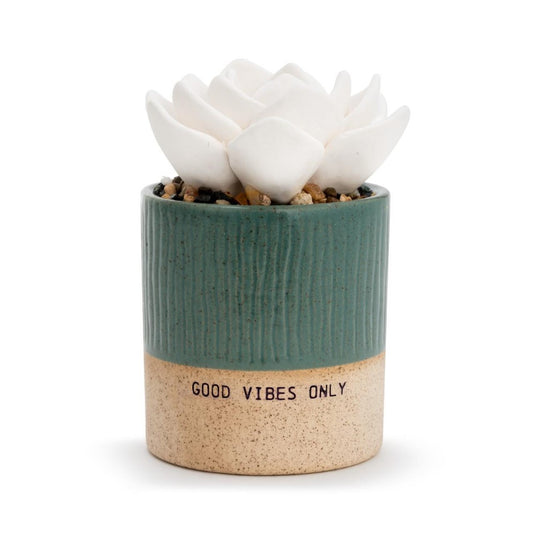 Picture of Succulent Oil Diffuser - "Good Vibes"