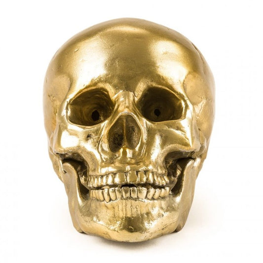 Picture of Seletti Wunderkrammer Human Skull