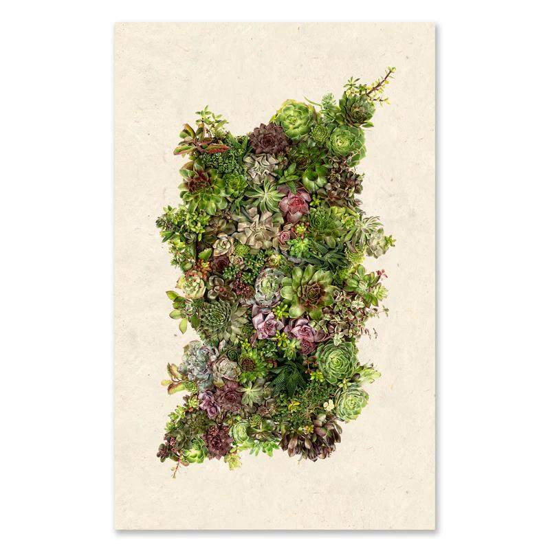 A vertical collage of assorted green succulents on a light background.