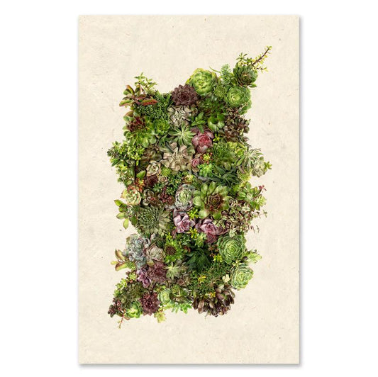 A vertical collage of assorted green succulents on a light background.