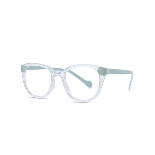 Picture of Clear/Blue Reader