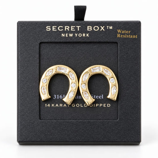 Horseshoe-shaped gold earrings with crystals in a black box.