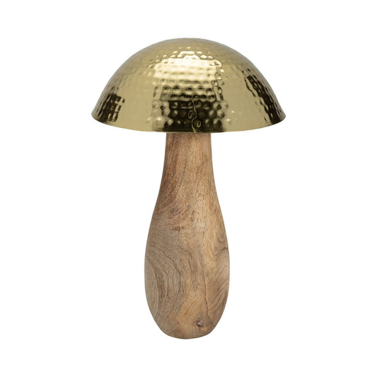 Picture of Gold Cap Mushroom, Small