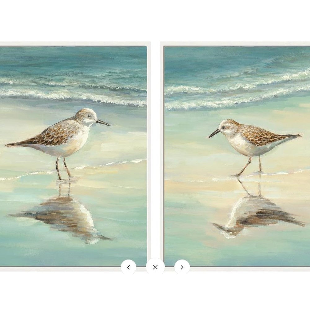 Two shorebirds with reflections on a beach, ocean waves in the background.