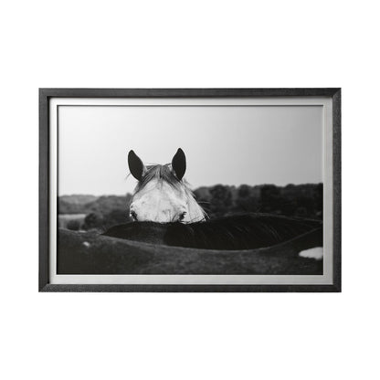 Picture of "Peeking Horse" Framed Wall Art