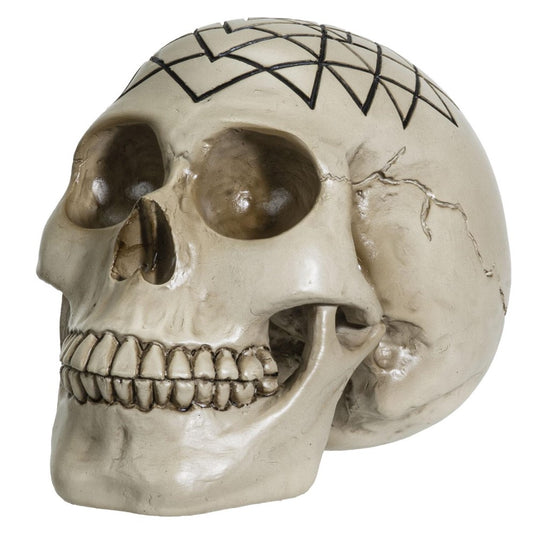 Picture of Sacred Yantra Skull