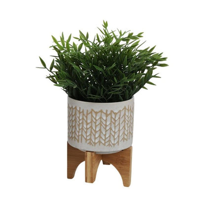 Green plant in a decorative pot on a wooden stand.