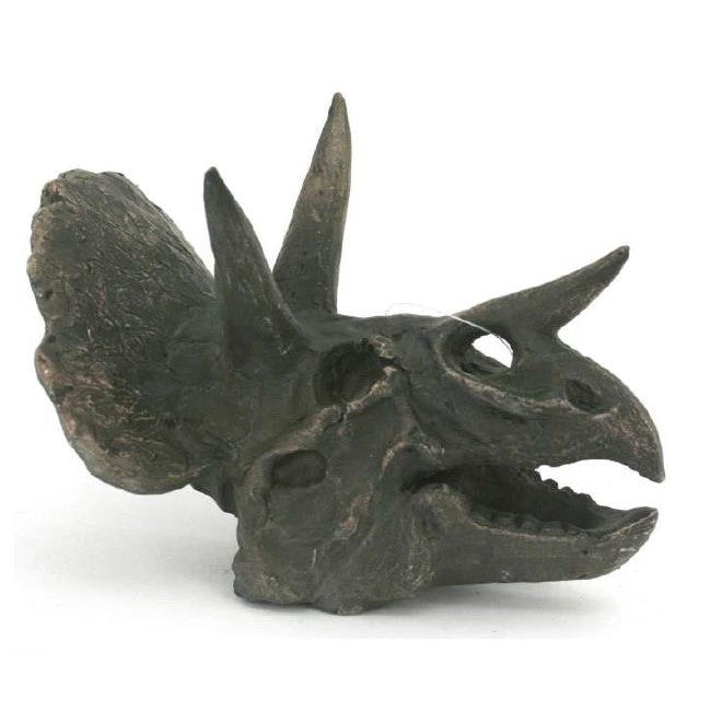 Picture of Triceratops Skull Fossil Decor