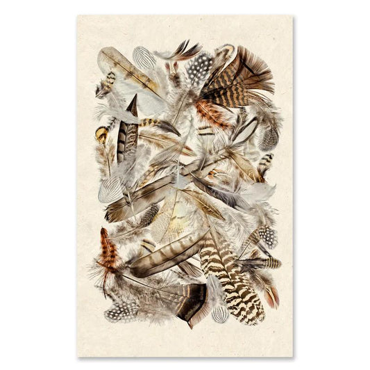 A vibrant collage of assorted feathers on a textured background.
