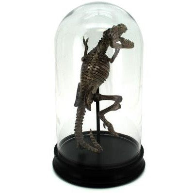 Picture of Dinosaur w/Glass Dome