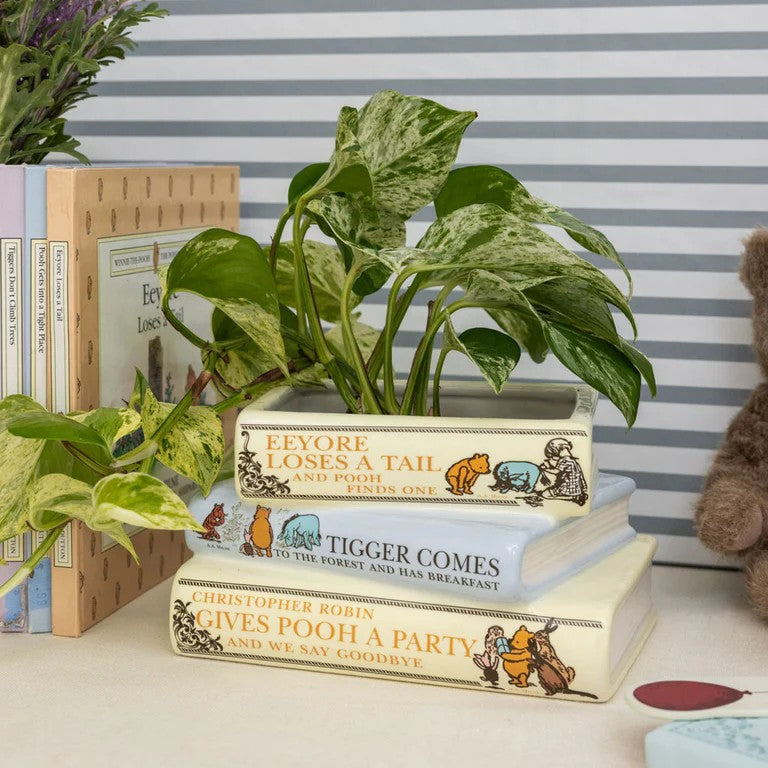 Books stacked with a plant pot, surrounded by plush toys and decor.
