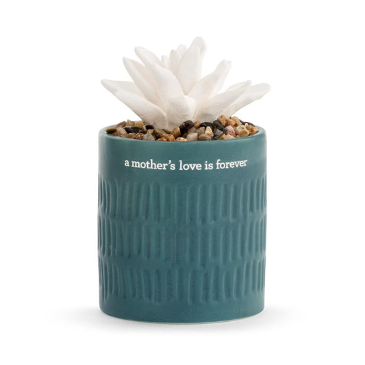 White succulent in teal pot with "a mother's love is forever" text.