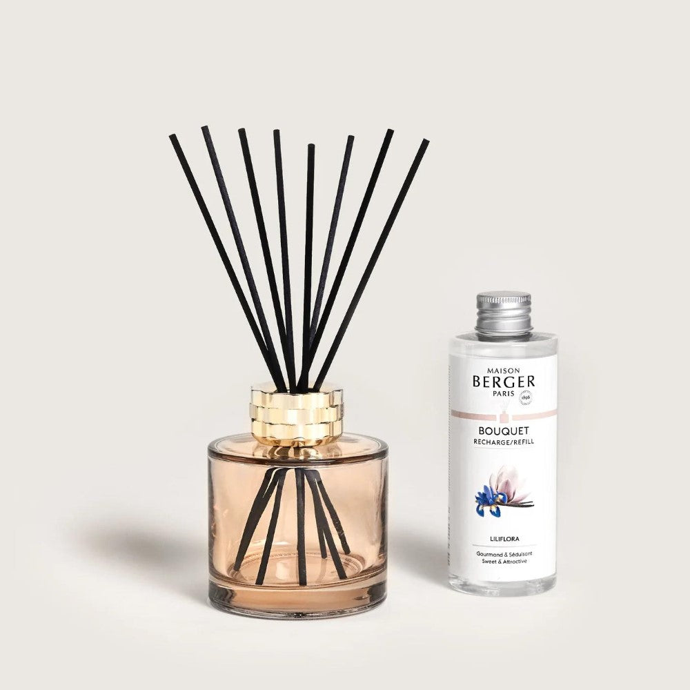 Reed diffuser with a fragrance refill bottle, elegant and minimalist design.
