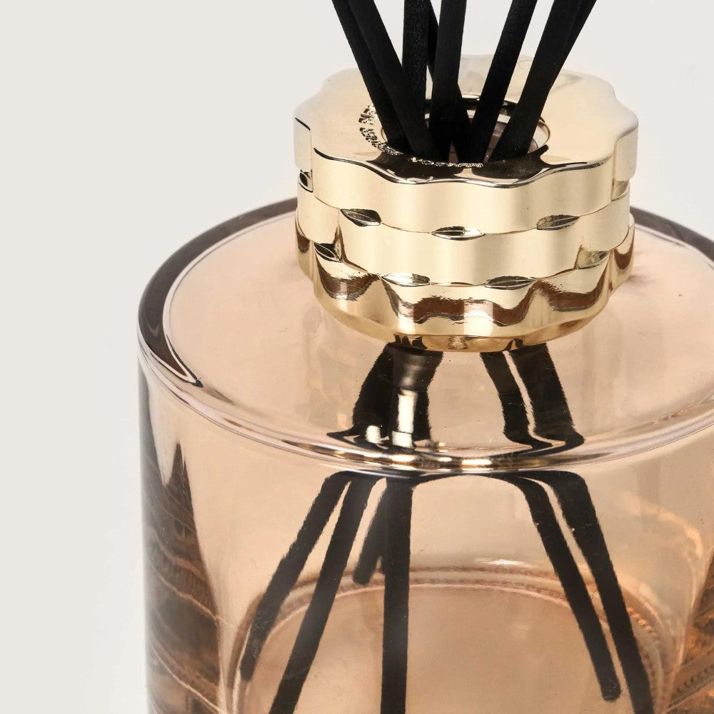 Elegant glass diffuser with black reeds and gold accents.