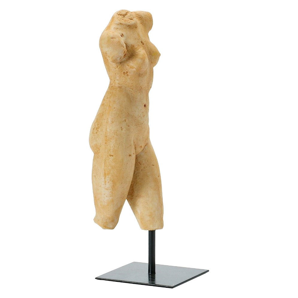 Picture of Female Body Figure on Stand