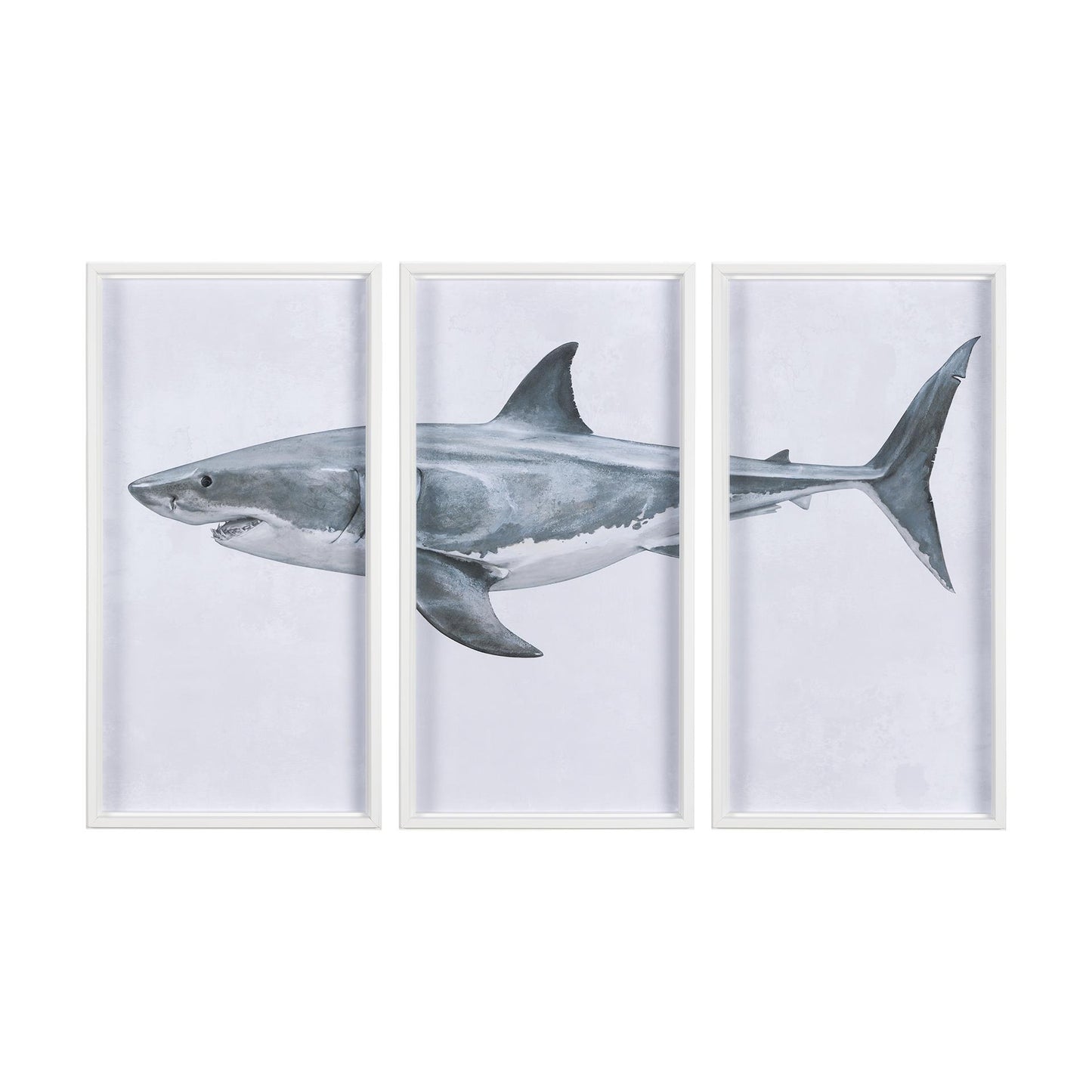 Picture of Great White Shark Framed Wall Art, Set of 3