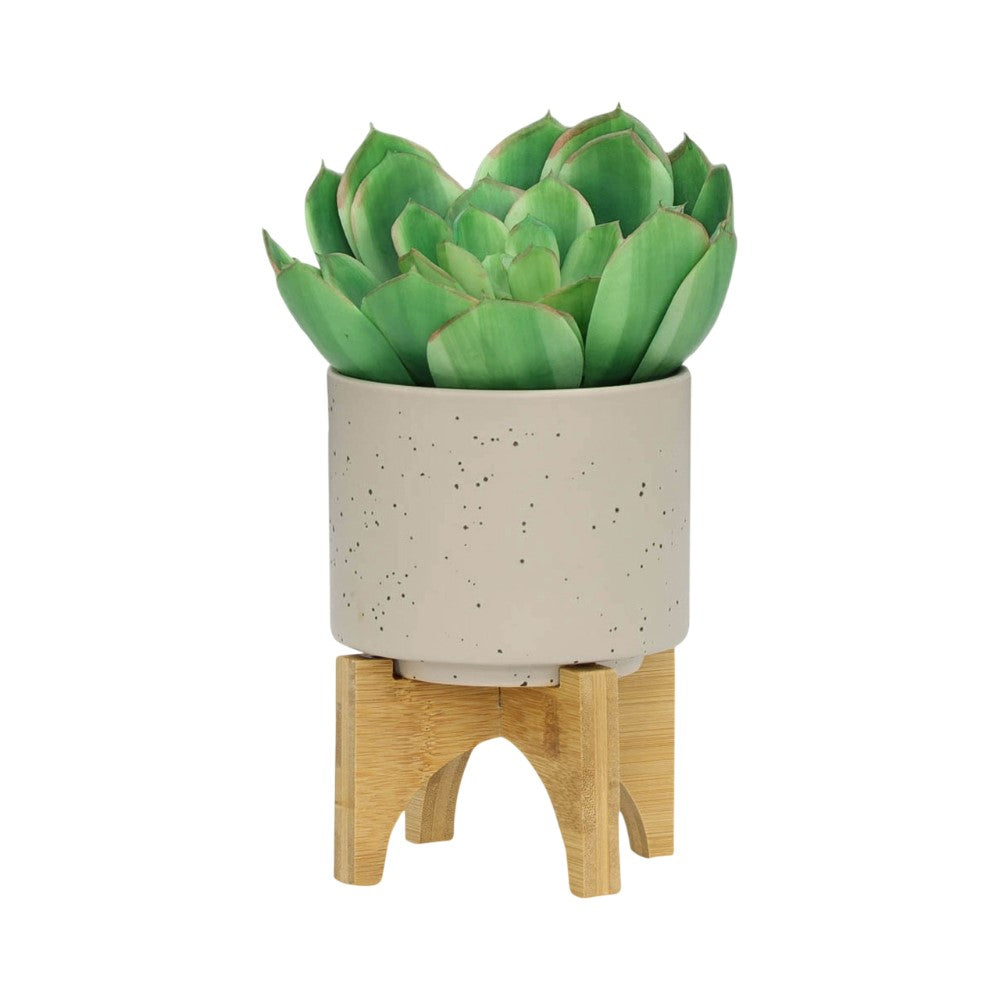 Picture of Matte Beige Planter on Stand, Small