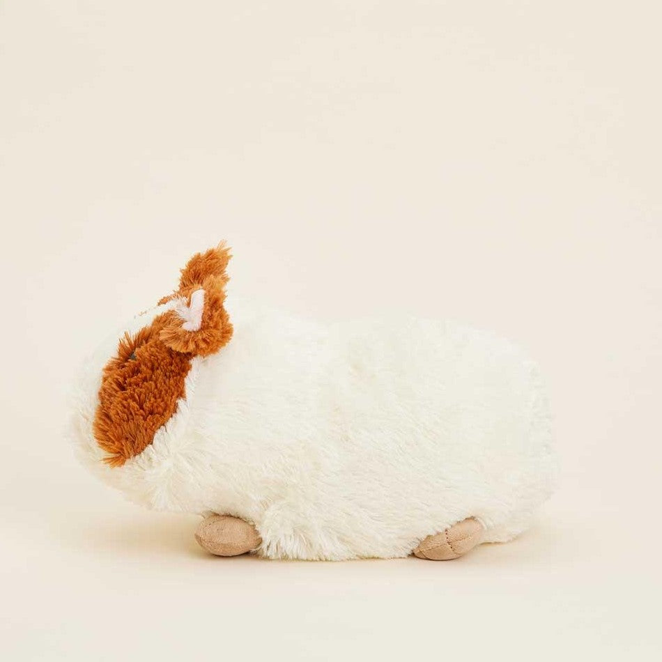 Picture of Guinea Pig Warmies