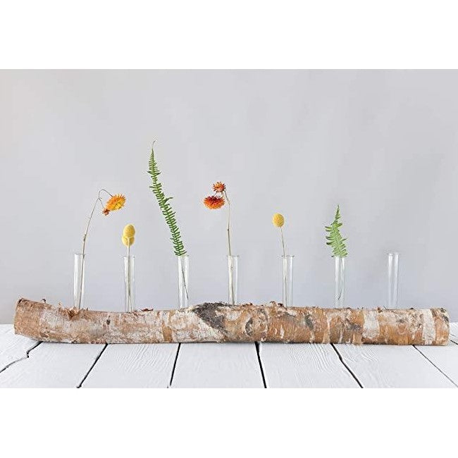 Picture of Birch Log with 7 Tube Vases