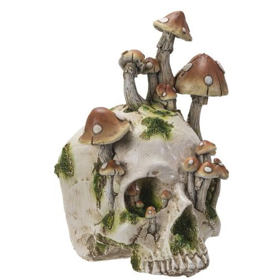 Picture of Skull with Mushrooms