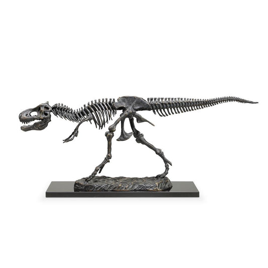 Picture of Tyrannosaurus Rex Skeleton Sculpture