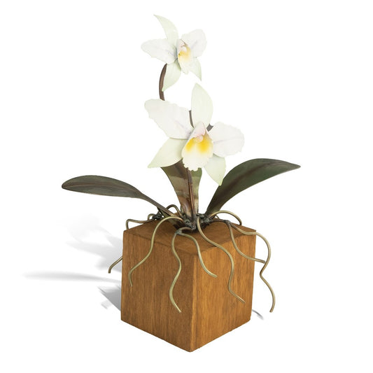 White orchids in a wooden cube pot with metal roots.