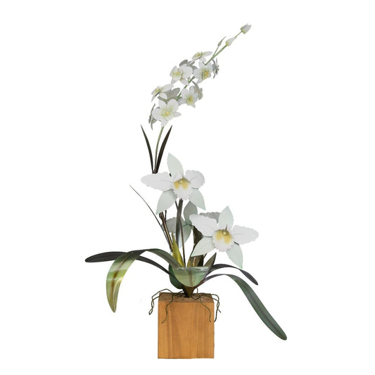White orchids in a wooden pot against a white background.
